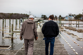 Freshness at Its Best: The Top Reason to Choose Oysters from an Oyster Farm