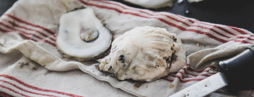Steamed Oysters
