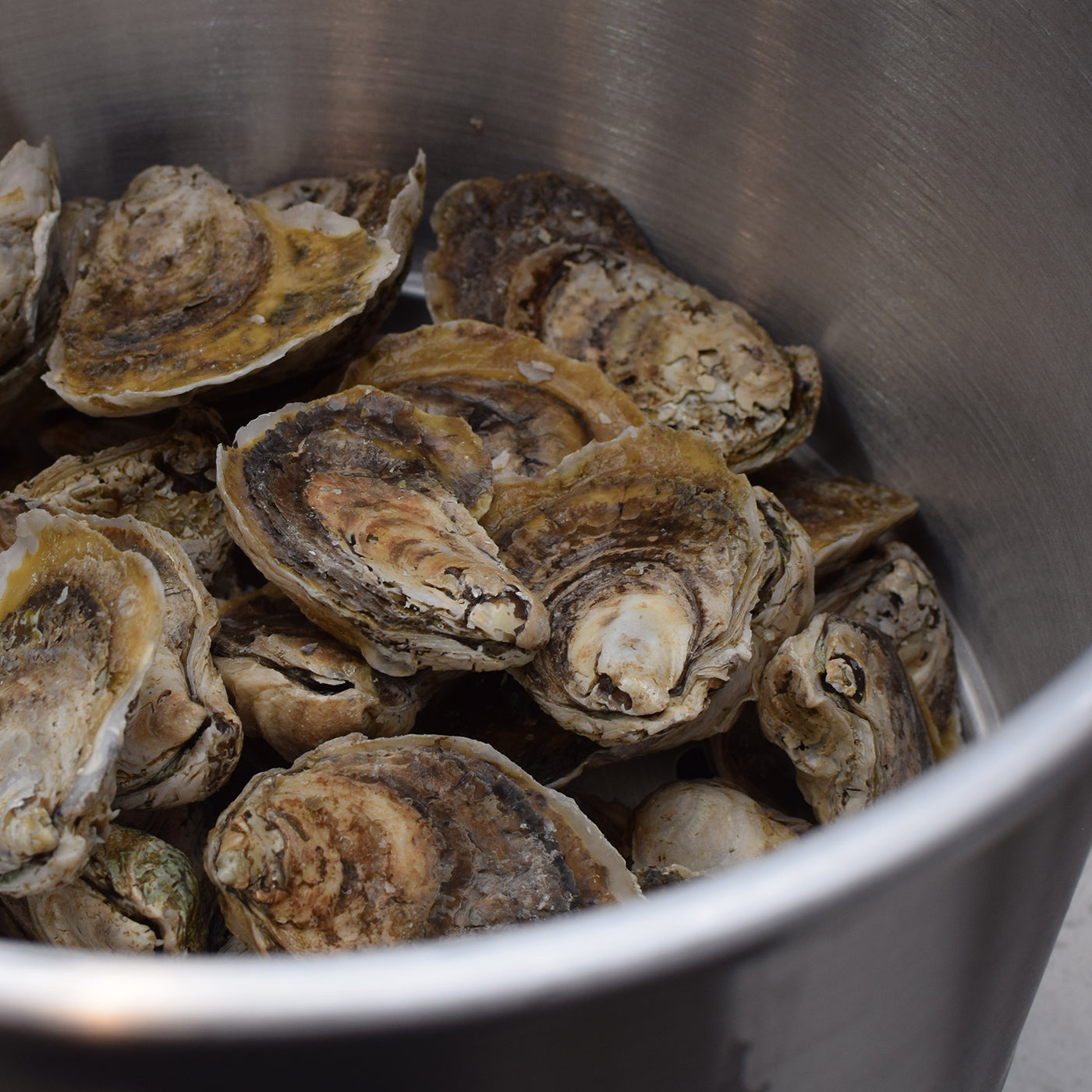 100 ct Farm Fresh Oyster Sampler + Shucking Knife Little