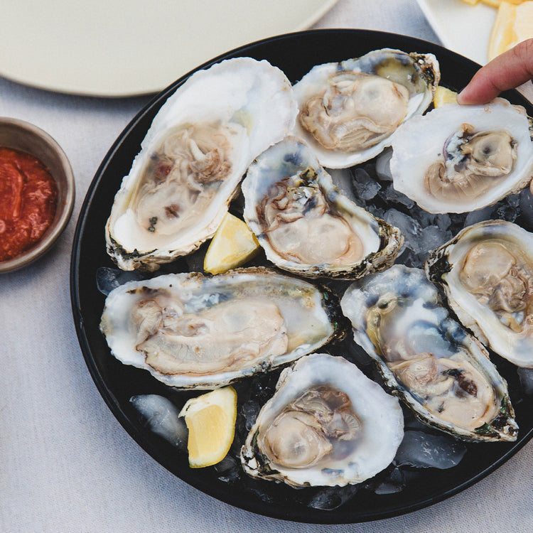 Little Wicomico Oyster Company | VA's Finest Oysters & Seafood